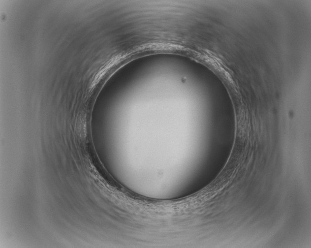 X0000059040015200510171900