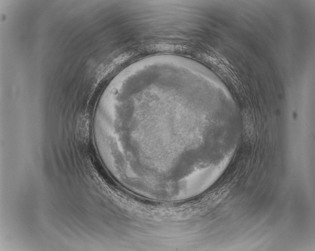 X0000059040016200510171900