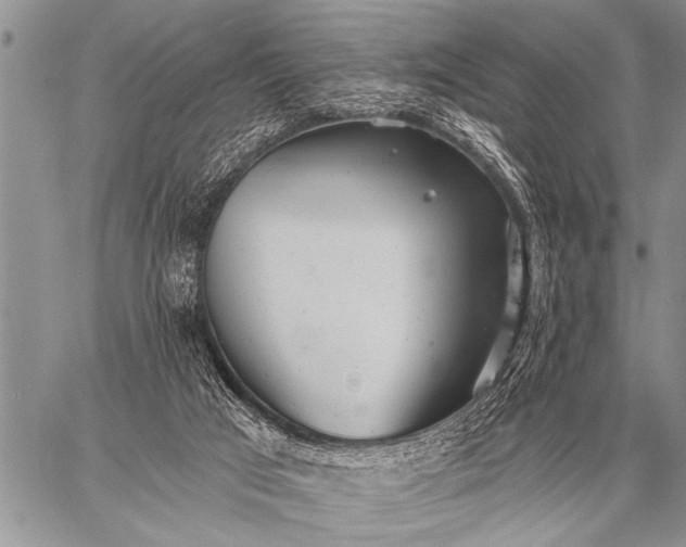 X0000059040017200510171900