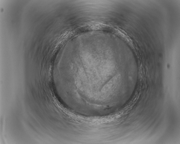 X0000059040018200510171900