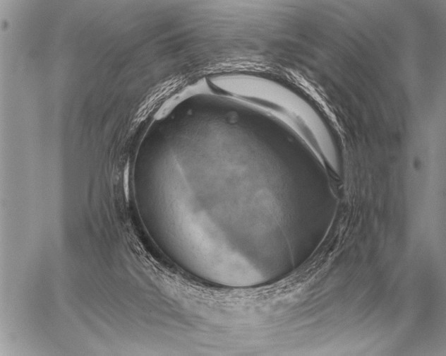 X0000059040019200510171900