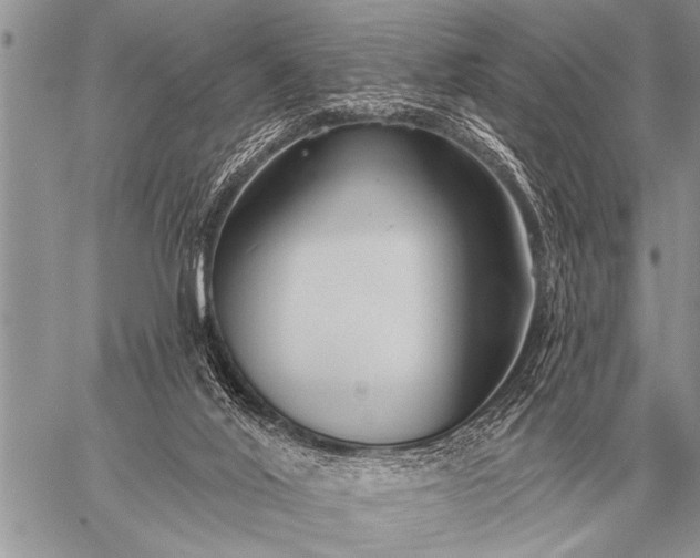 X0000059040020200510171900