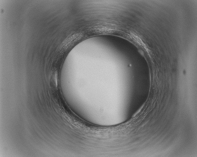 X0000059040021200510171900