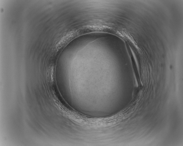 X0000059040023200510171900