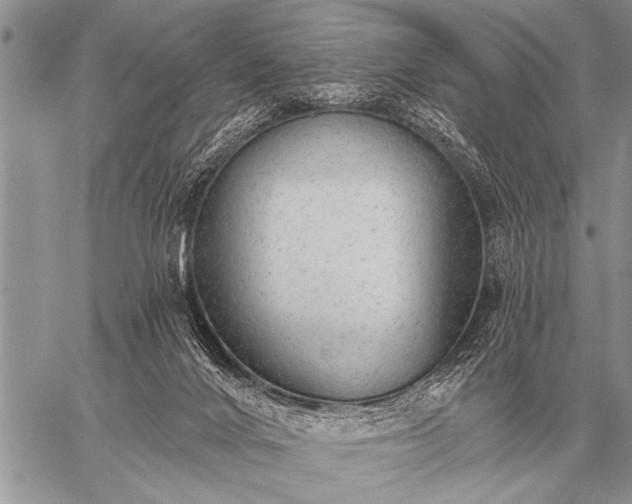 X0000059040024200510171900