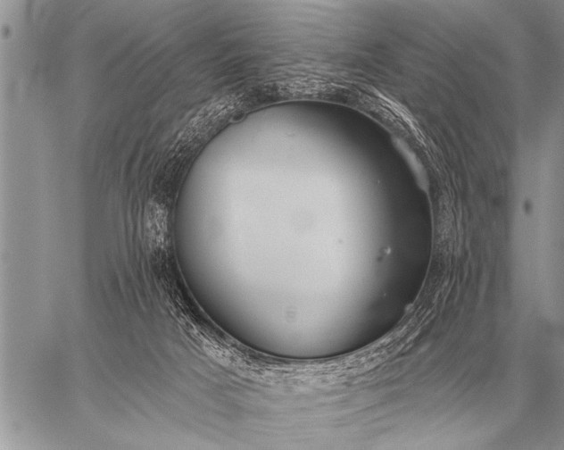 X0000059040025200510171900