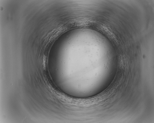 X0000059040026200510171900