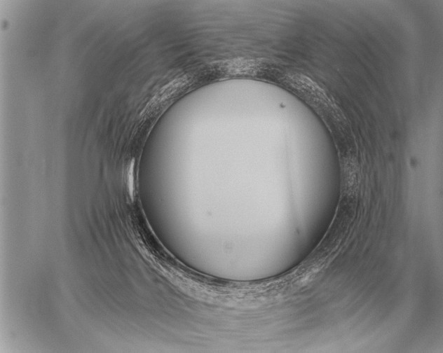 X0000059040028200510171900