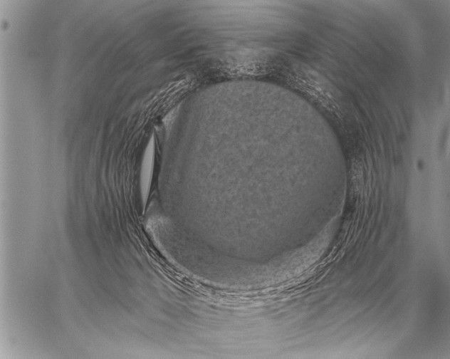 X0000059040029200510171859