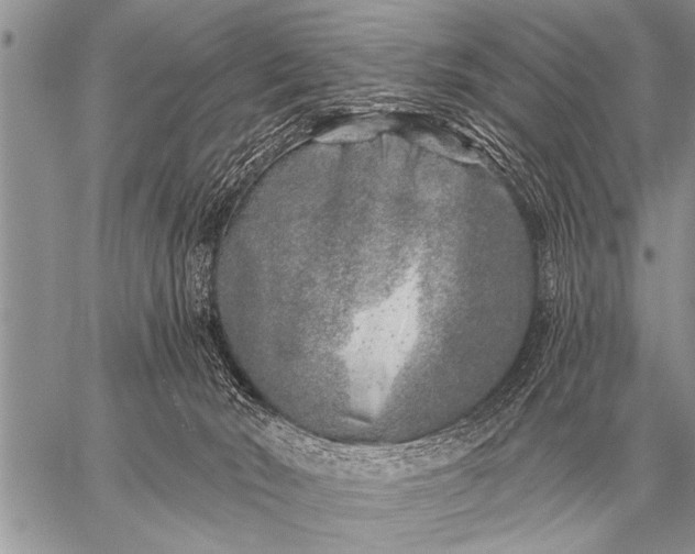 X0000059040030200510171859