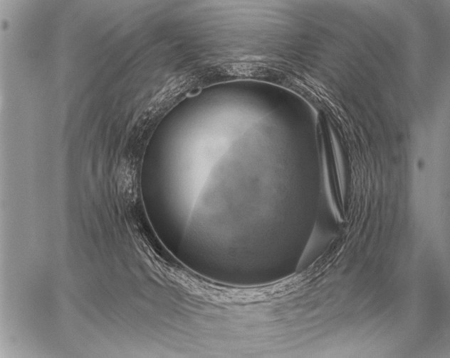 X0000059040031200510171859