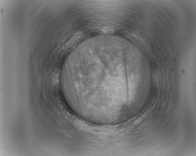 X0000059040032200510171859