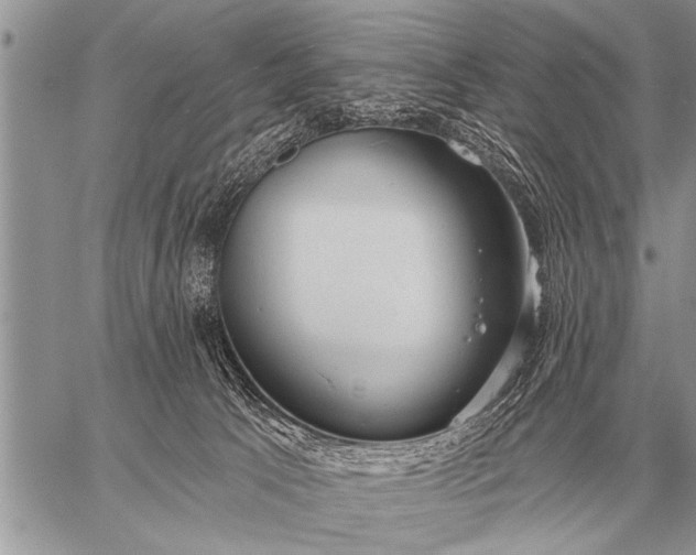 X0000059040033200510171859