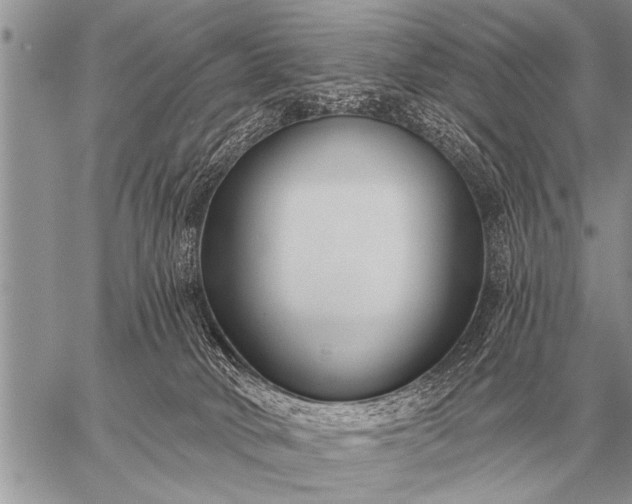 X0000059040034200510171859