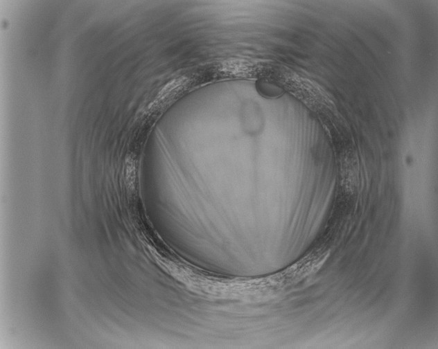 X0000059040036200510171859