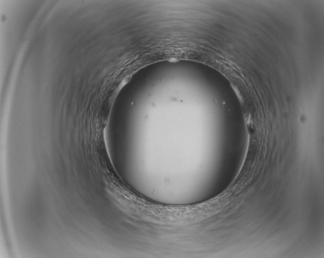 X0000059040037200510171859