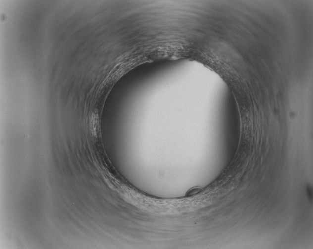 X0000059040038200510171859