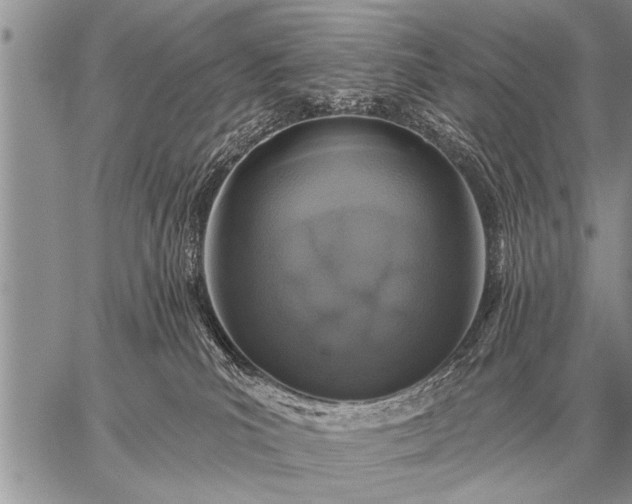 X0000059040039200510171859