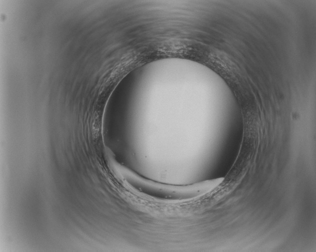 X0000059040040200510171859