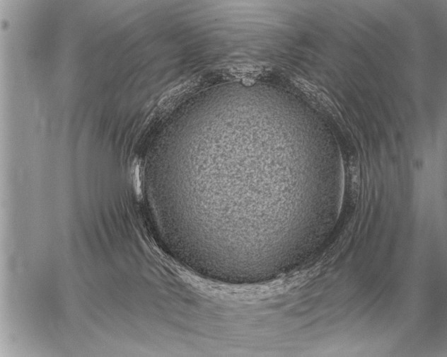 X0000059040042200510171859