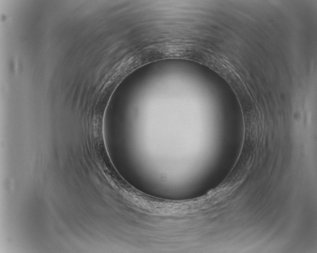 X0000059040044200510171859