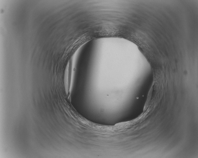 X0000059040045200510171859