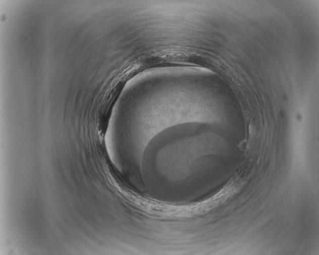 X0000059040048200510171859