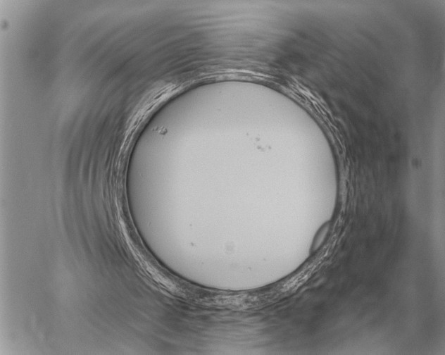 X0000059040049200510171858