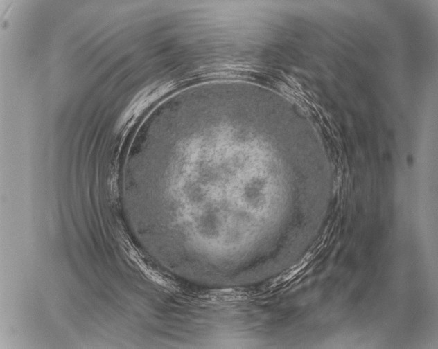 X0000059040050200510171858