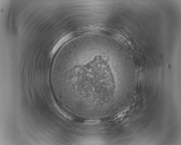 X0000059040051200510171858