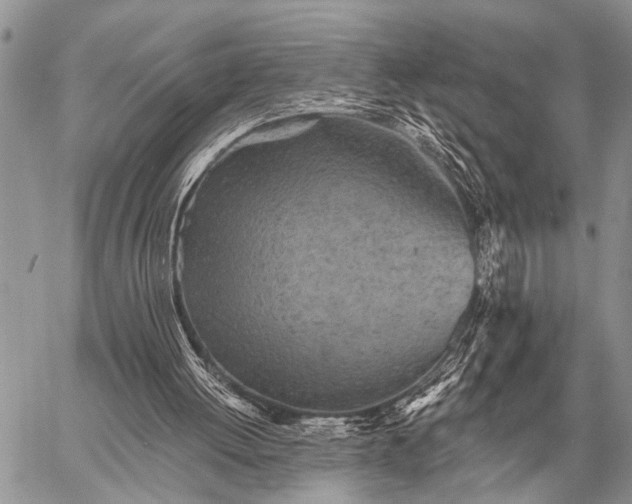 X0000059040052200510171858