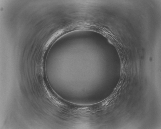 X0000059040054200510171858