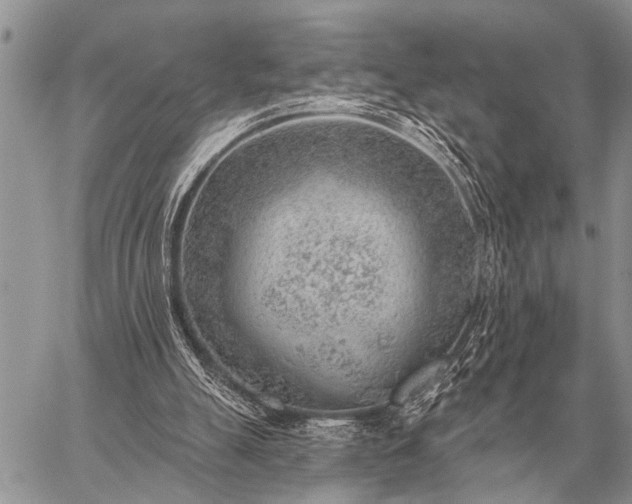 X0000059040055200510171859