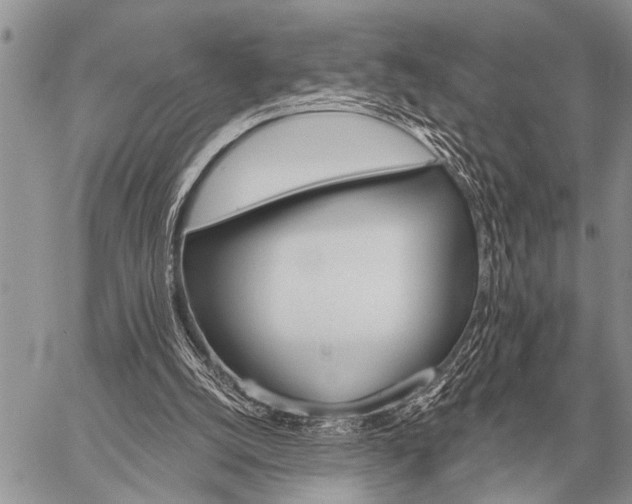 X0000059040056200510171859