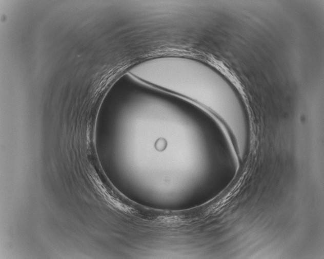 X0000059040057200510171859