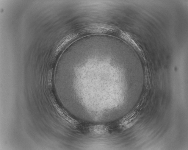 X0000059040058200510171859