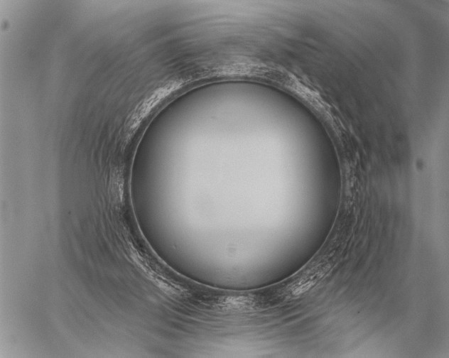 X0000059040060200510171859