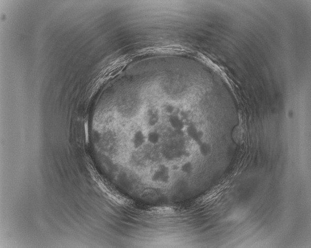 X0000059040061200510171859