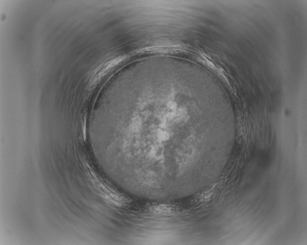 X0000059040062200510171859