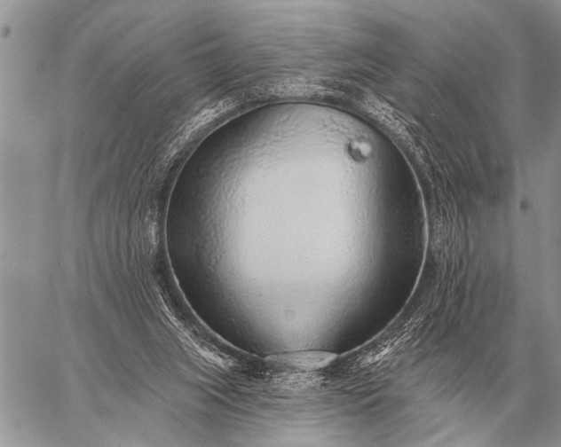 X0000059040063200510171859