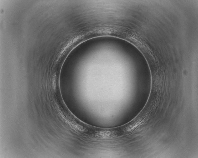 X0000059040064200510171859