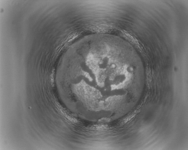 X0000059040065200510171859