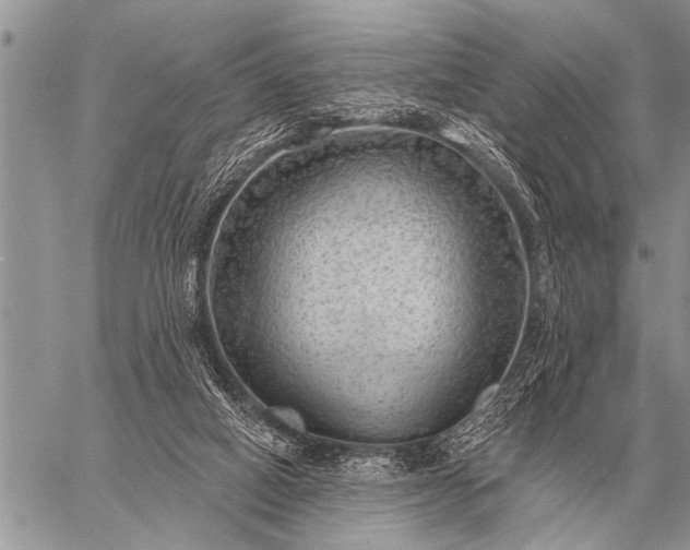 X0000059040066200510171859