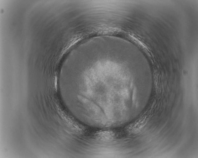 X0000059040067200510171859