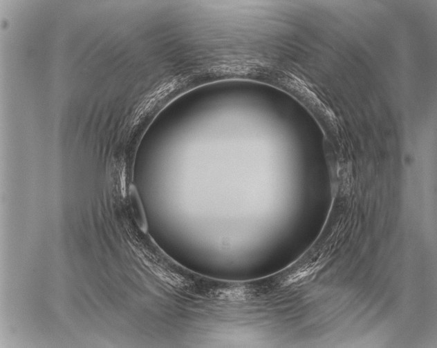 X0000059040068200510171859