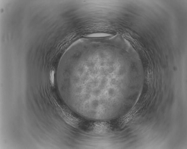 X0000059040070200510171859