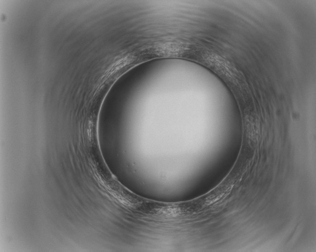 X0000059040071200510171859