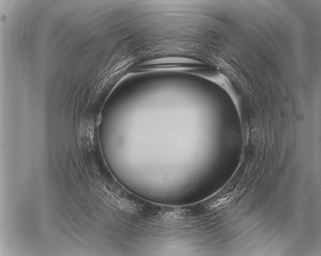 X0000059040072200510171859