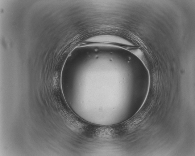 X0000059040073200510171859