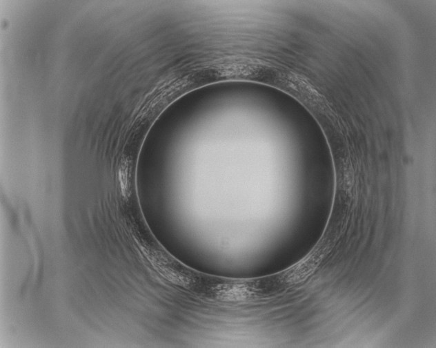 X0000059040074200510171859